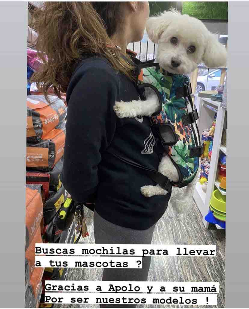 MOCHILA PARA BICI TALLE L 